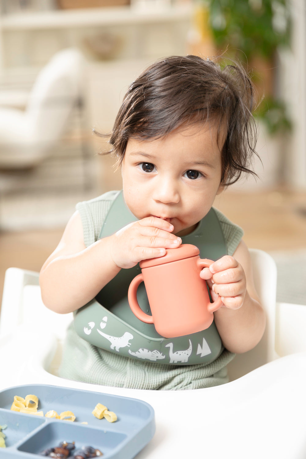 Dino Rawr Little Bites Bib