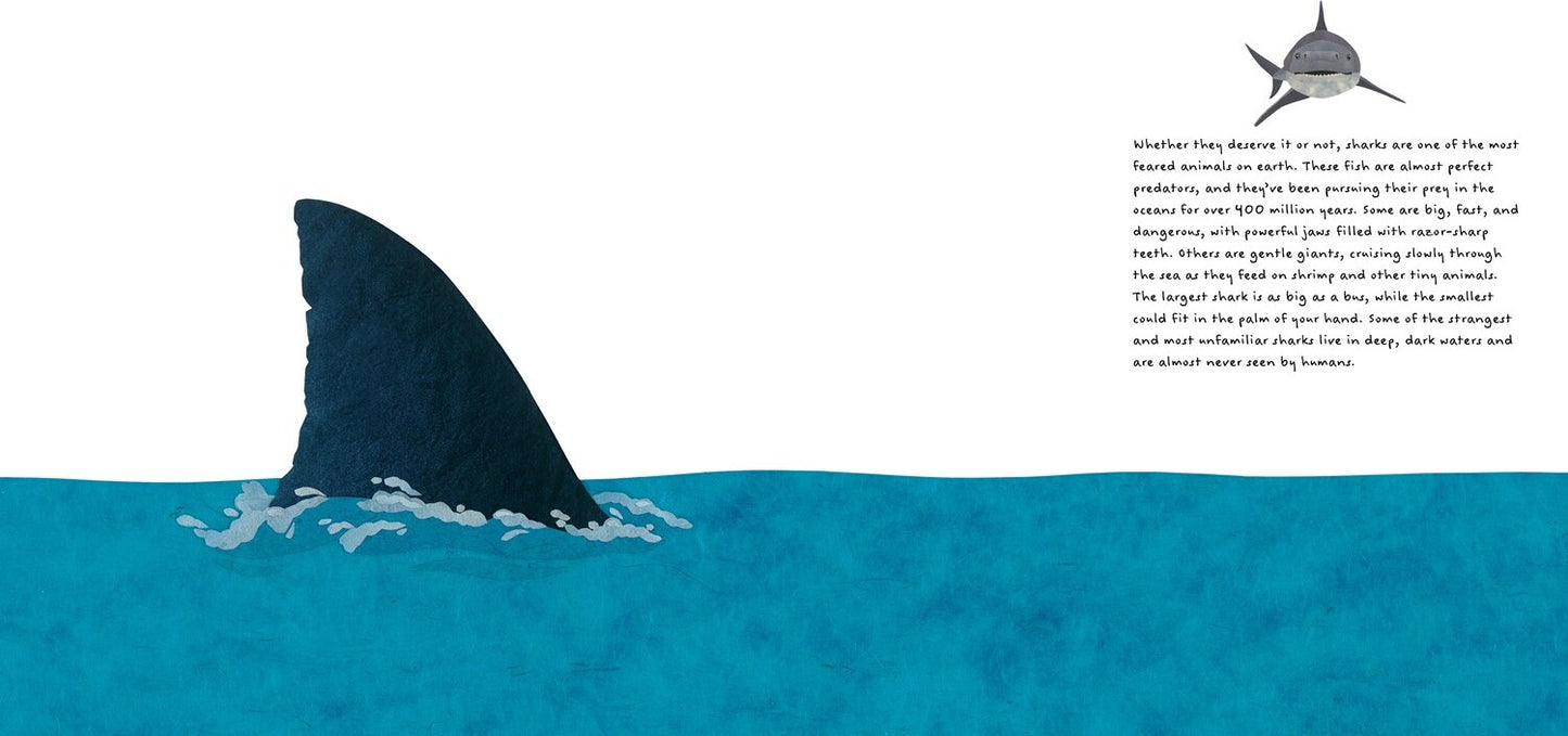 The Shark Book