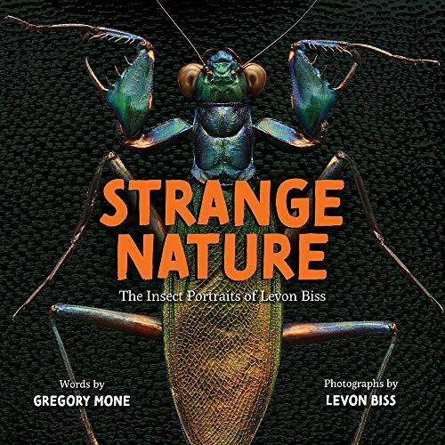 Strange Nature: The Insect Portraits of Levon Biss