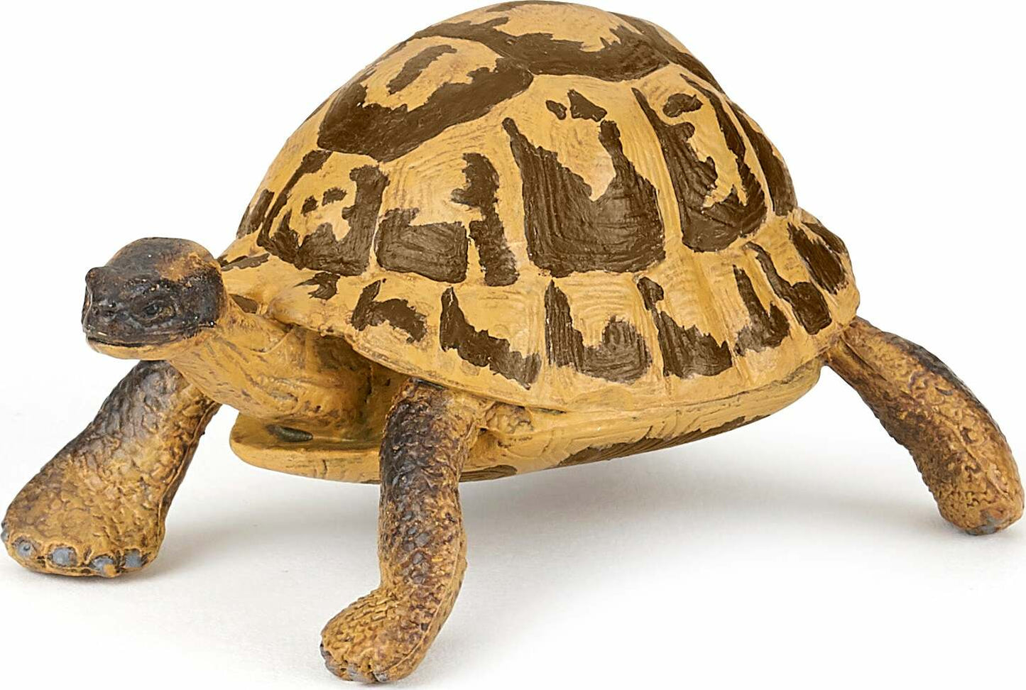 Papo France Hermann's Tortoise
