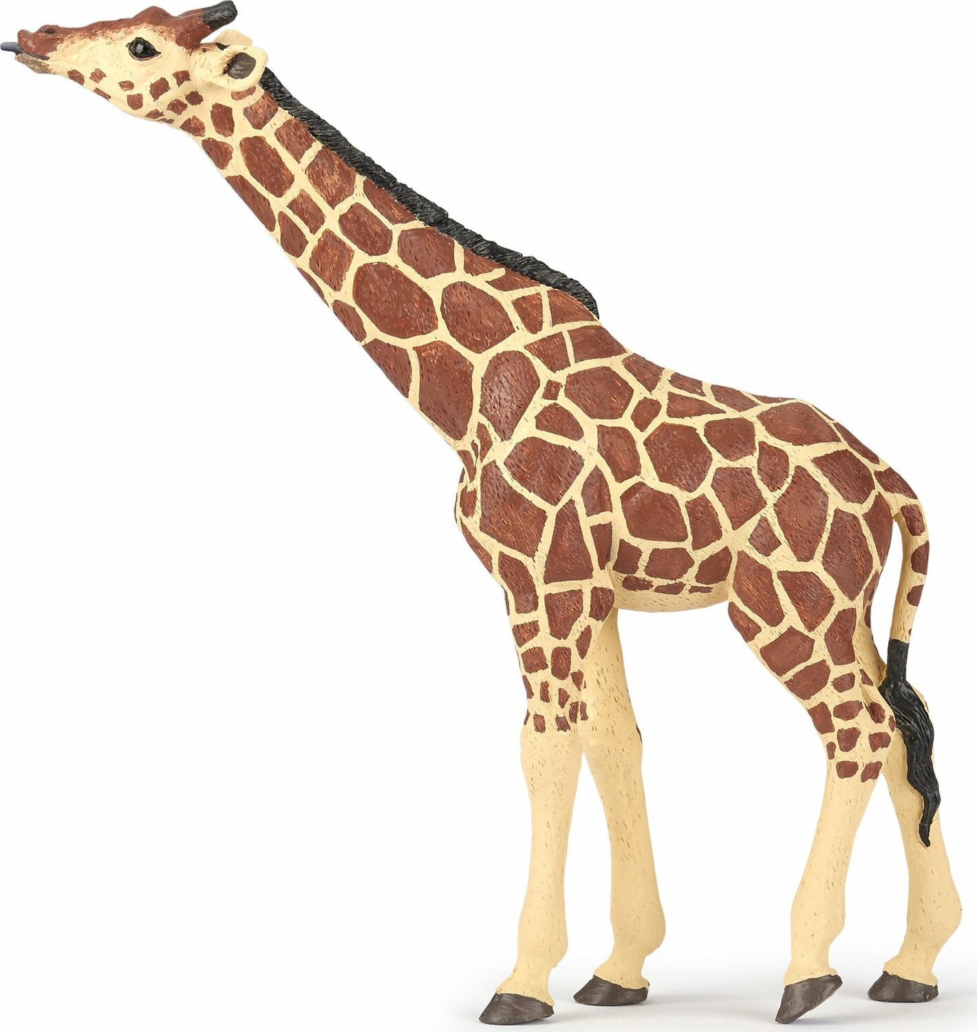 Giraffe Head Raised