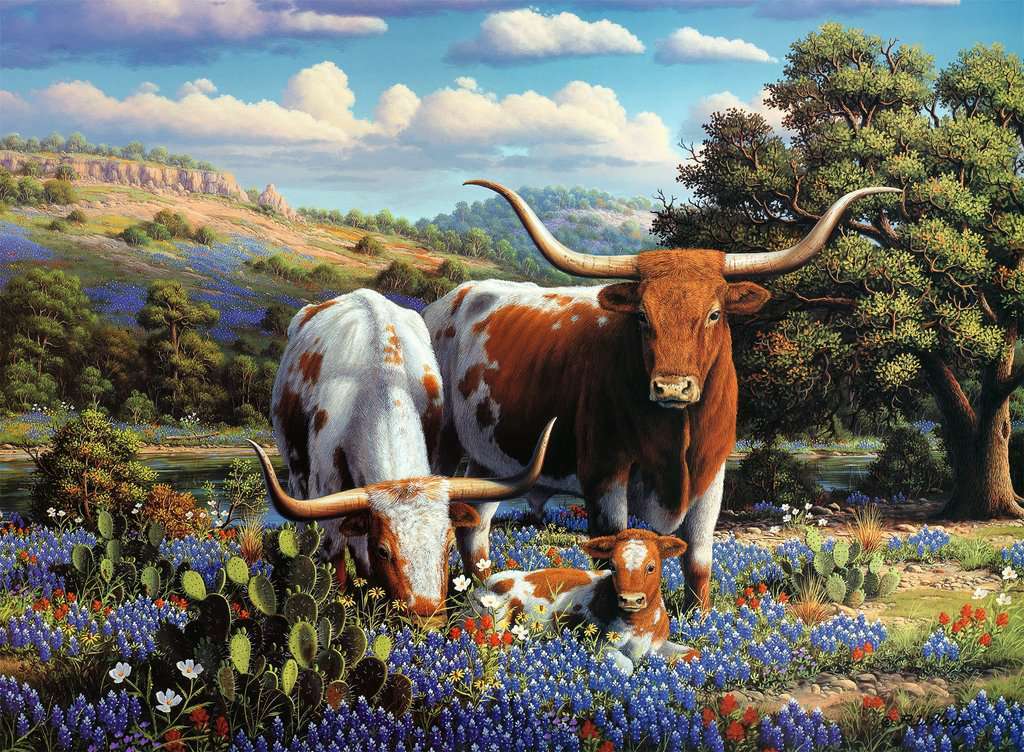 Loving Longhorns (500pc Puzzle)
