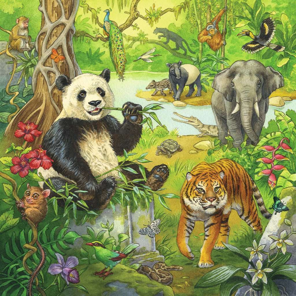 Jungle Fun puzzle (49 pc)