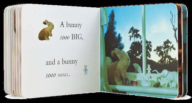 I Spy Little Bunnies (with foil)