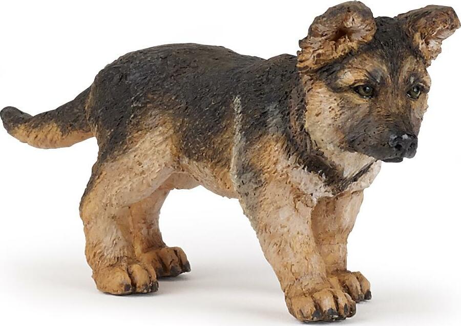 German Shepherd Pup