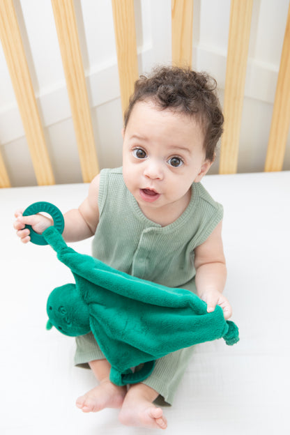 Dino Teether Buddy