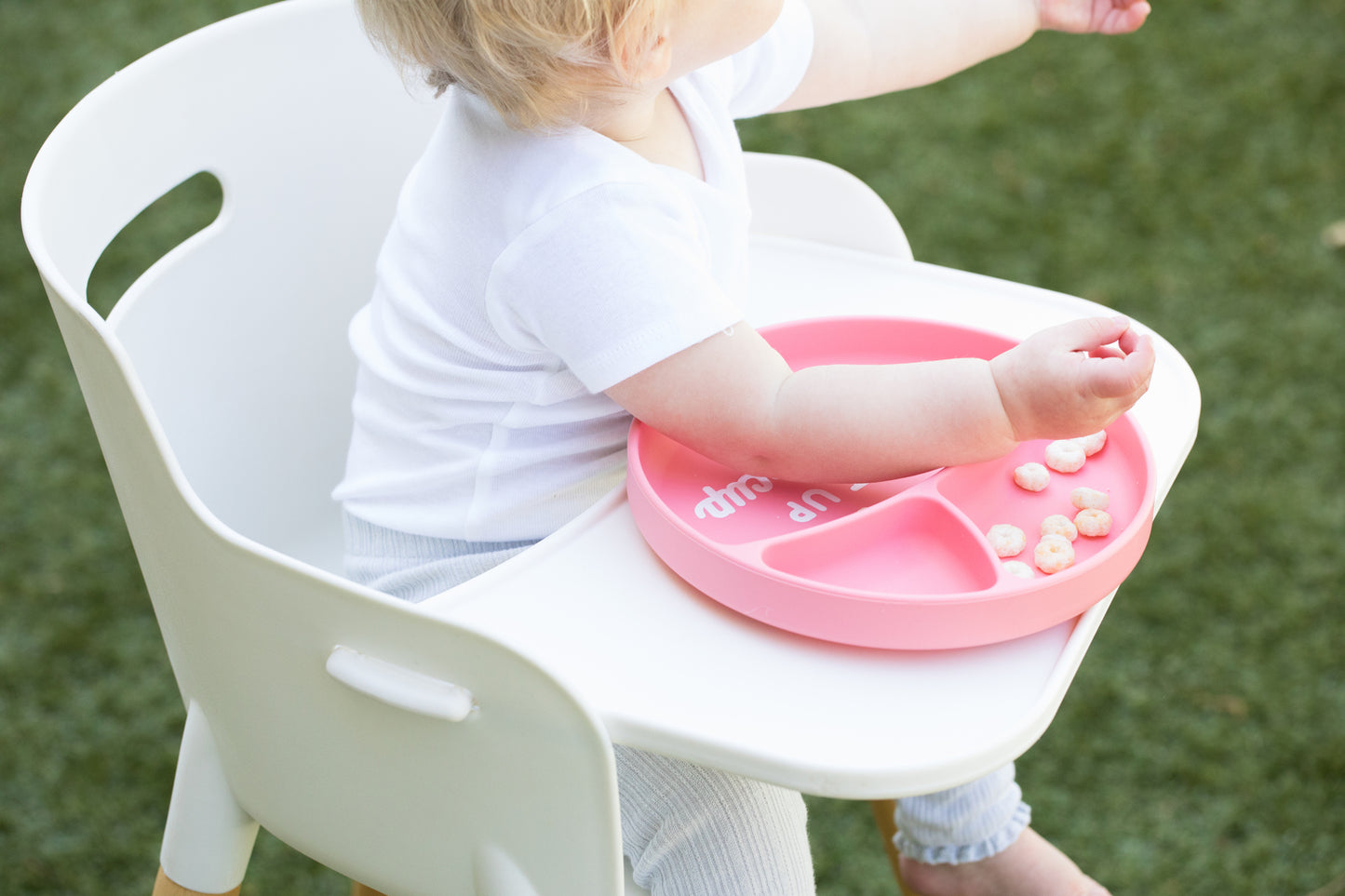 Eat Up Wonder Plate