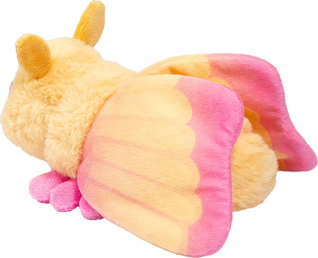 Rosy Maple Moth