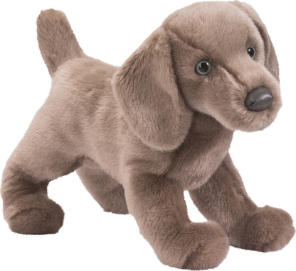 Cassie Weimaraner
