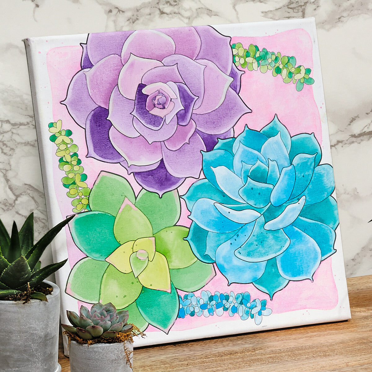 succulent paint by numbers Watercolor Paint by Number Succulents – Franklin's Toys