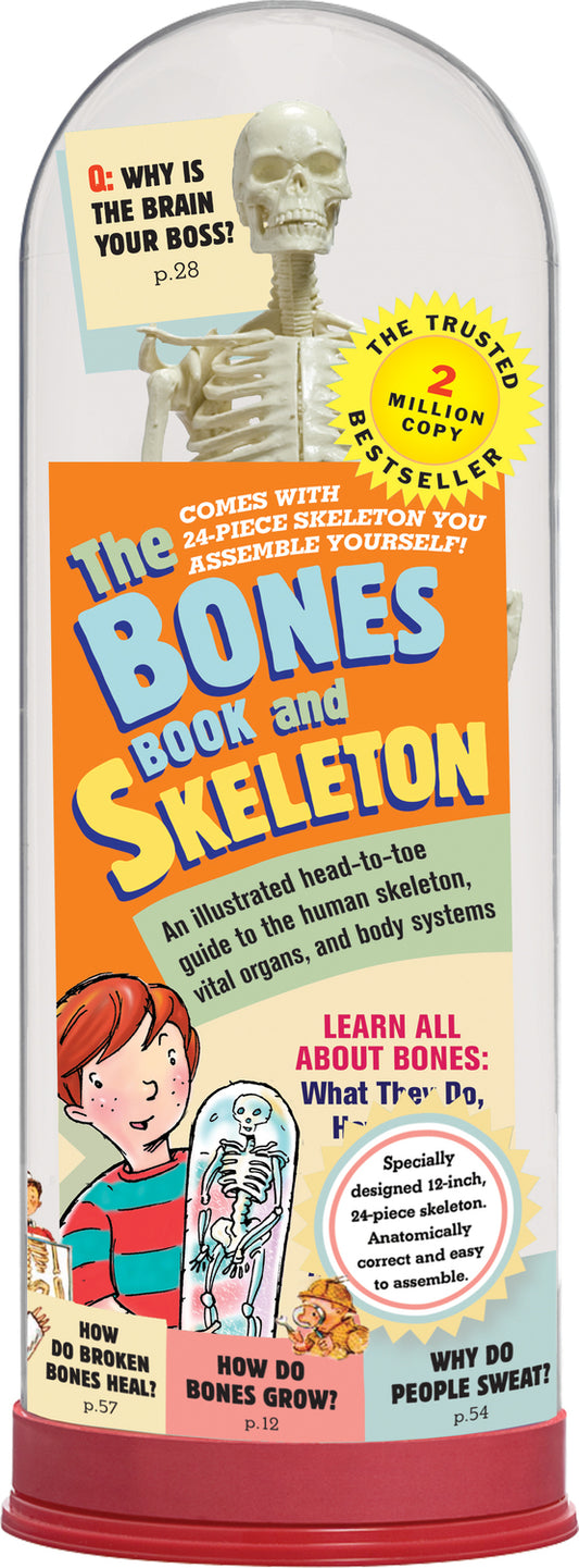 The Bones Book and Skeleton