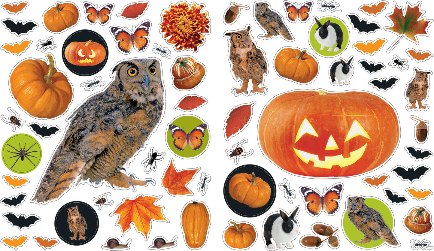 Eyelike Stickers: Halloween