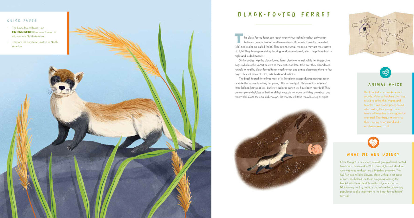 Hear Them Roar: 14 Endangered Animals from Around the World