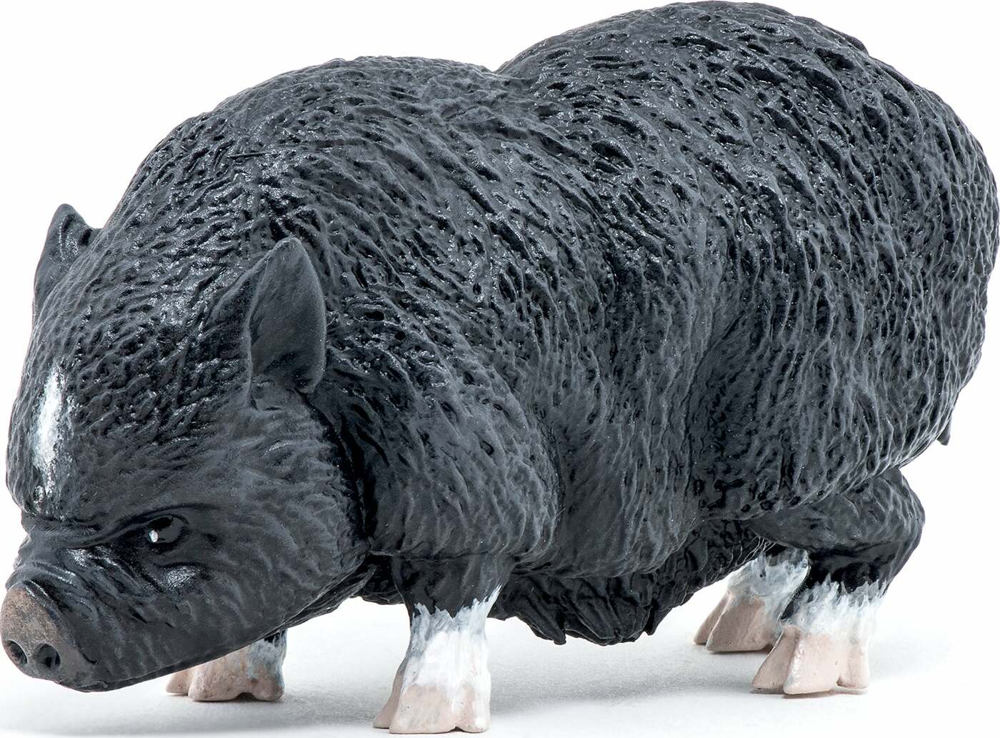 Papo France Vietnamese Pot Bellied Pig