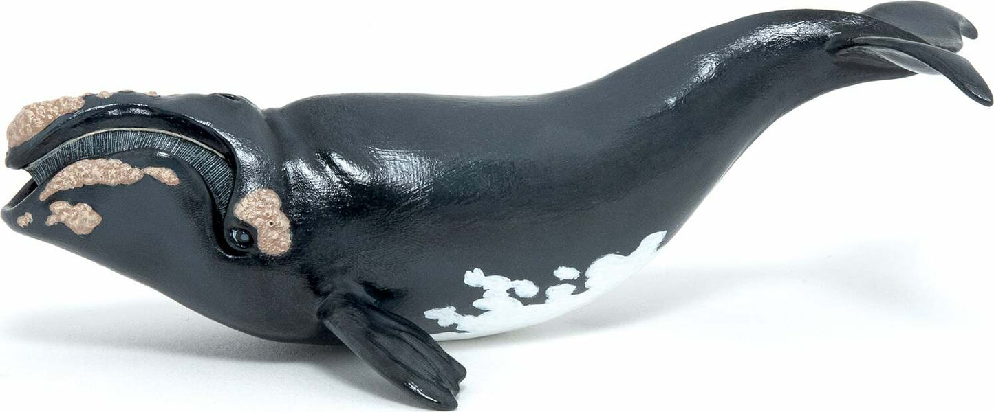Papo France Right Whale