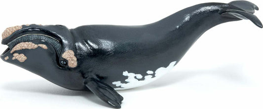 Papo France Right Whale