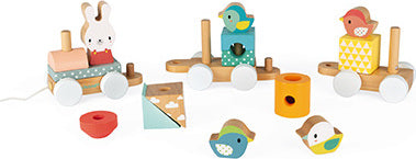 Pure Train Wooden Set