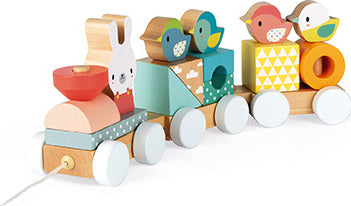 Pure Train Wooden Set
