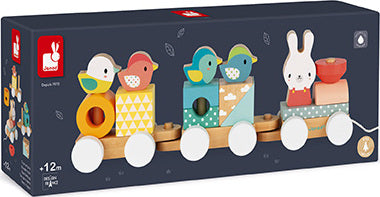 Pure Train Wooden Set