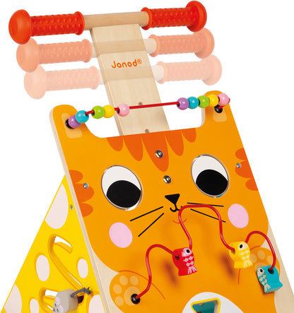 Multi-activities Cat Baby Walker