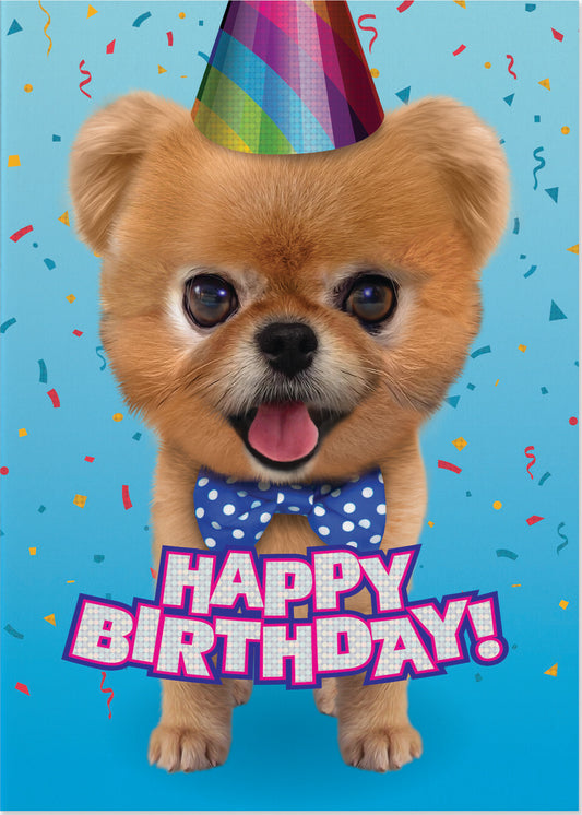 Teddy Bear Pomeranian Foil Card