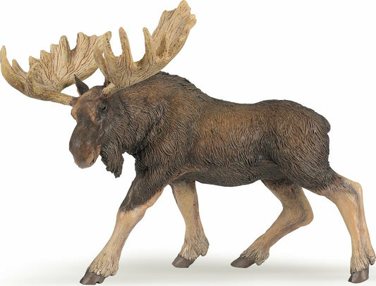Moose