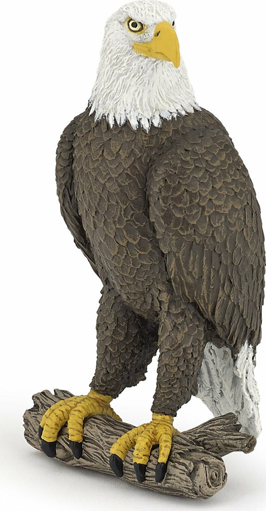 Sea Eagle