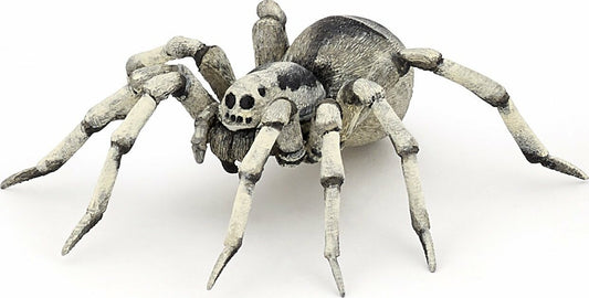 Tarantula