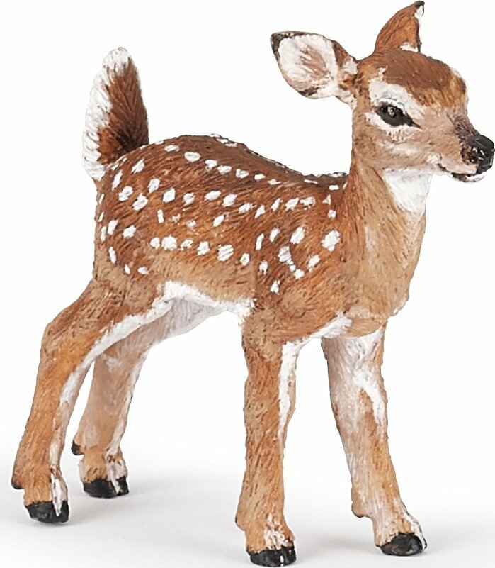 Fawn