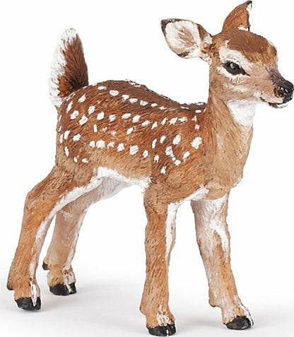 Fawn