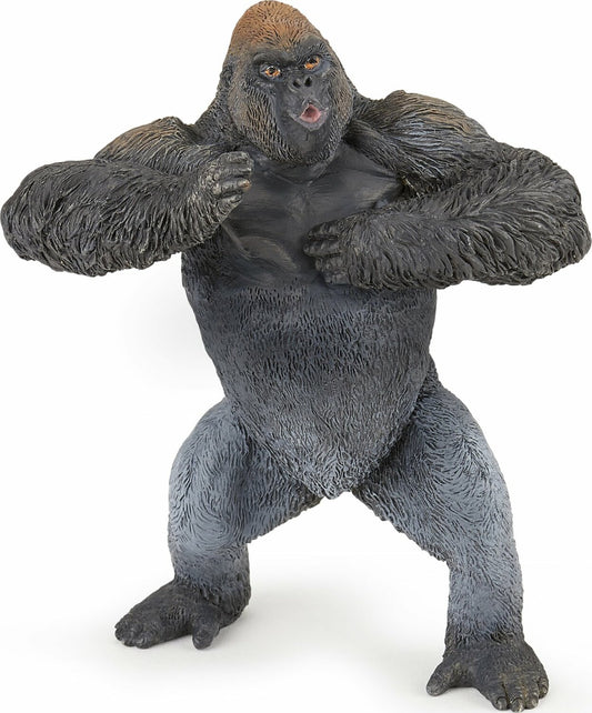 Mountain Gorilla