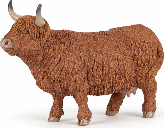 Highland Cow