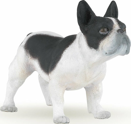 French Black And White Bulldog
