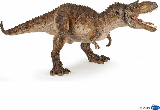 Gorgosaurus