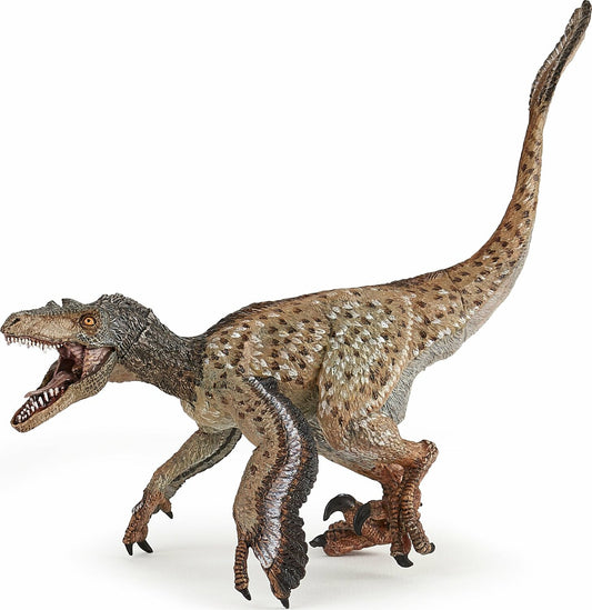 Feathered Velociraptor