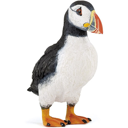 Puffin