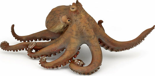 Octopus