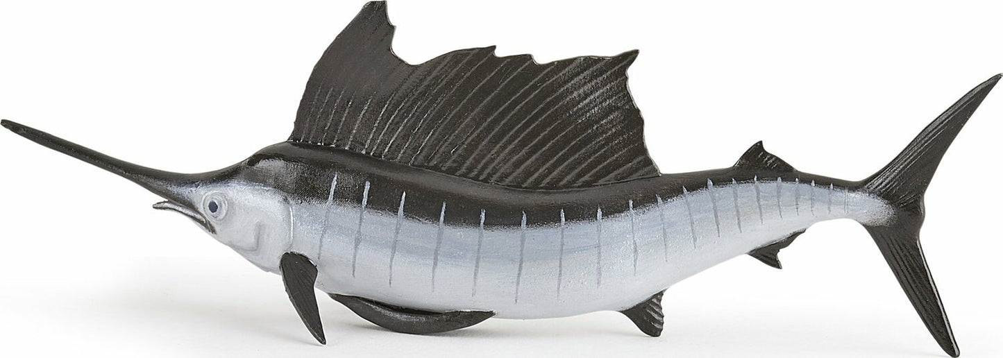 Pacific Sailfish