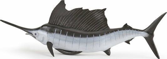 Pacific Sailfish