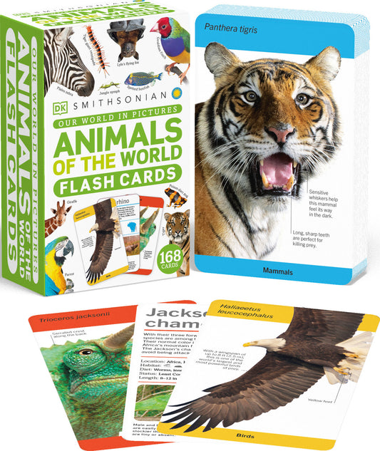 Our World in Pictures Animals of the World Flash Cards