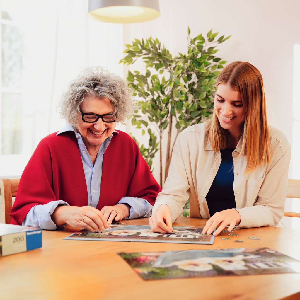 Venice Puzzle (100 pc)