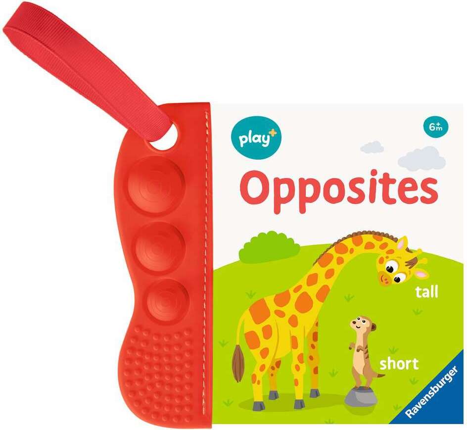 Book: Flip & Pop Opposites