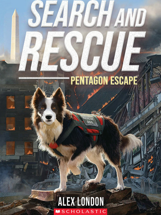Search and Rescue: Pentagon Escape
