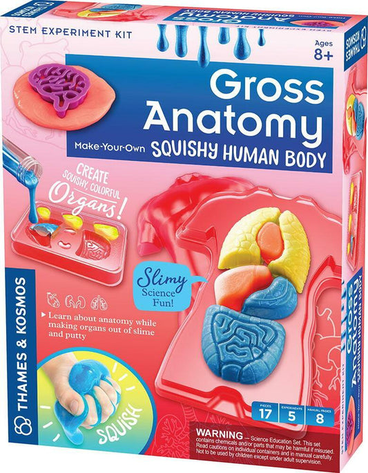 Gross Anatomy: Make-your-own Squishy Human Body