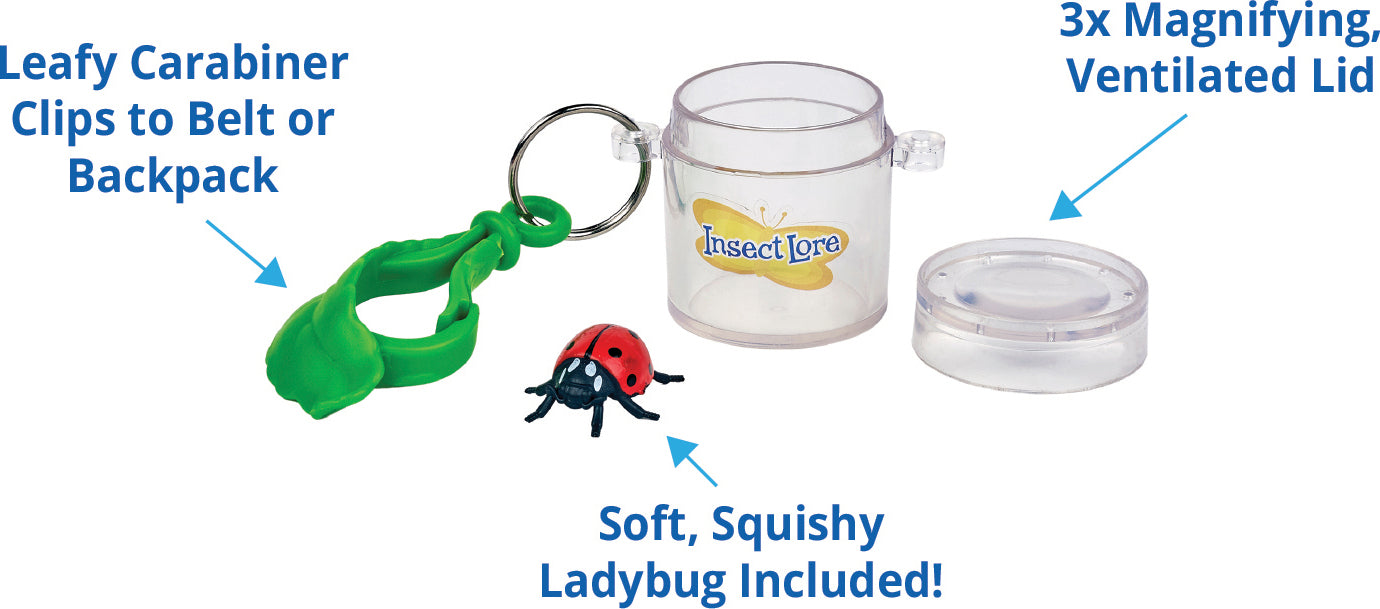 Little Bug Keeper