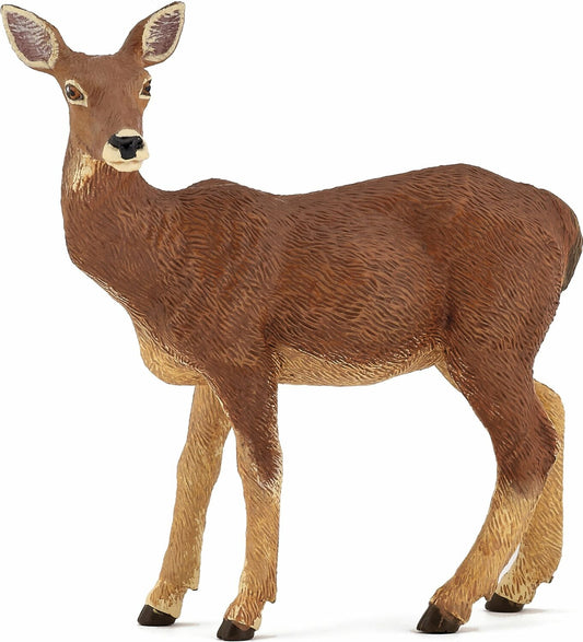 Doe
