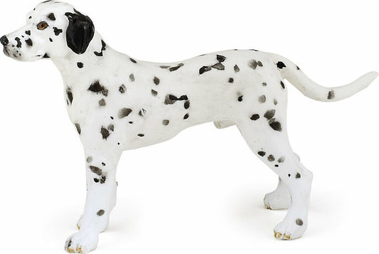 Dalmatian