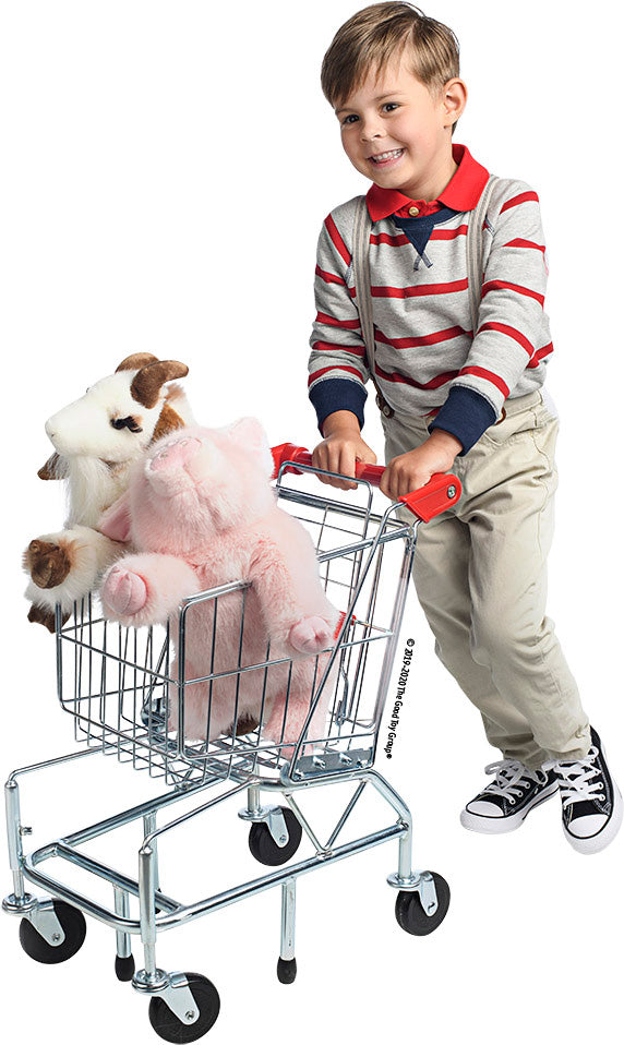 Melissa Doug Shopping Cart Franklin s Toys